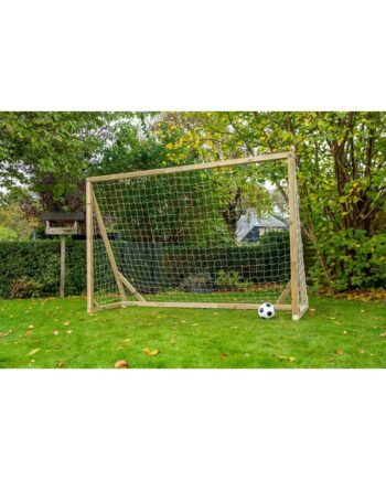 Home Goal Classic