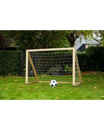 Home Goal Classic Mini